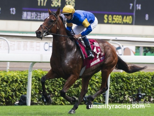 香港马赛马会最准资料贴士香港马赛马会最准资料，探寻精准信息-第2张图片