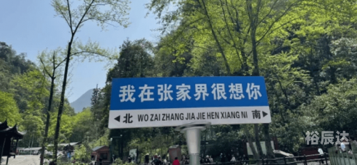 大同旅行社，旅游新选择-第2张图片