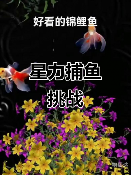 捕鱼星力，海洋生态与人类捕捞的新篇章-第2张图片
