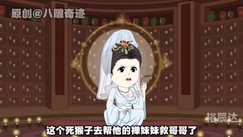 熊猫人官网，探索官方网站的多维度信息