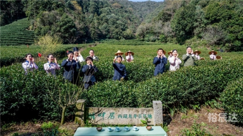开化龙顶，品味独特的茶文化