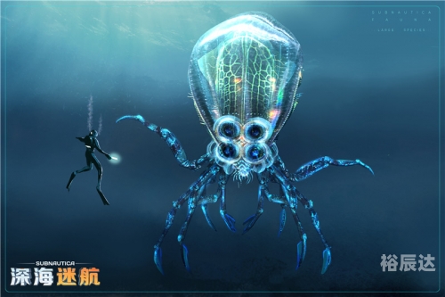 天外天天外天，探索未知的世界-第2张图片