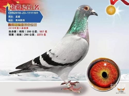 2019六给彩今晚开奖结果历史2019六给彩今晚开奖结果揭晓-第2张图片