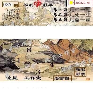 新彩网3D字谜，探索神秘世界-第2张图片