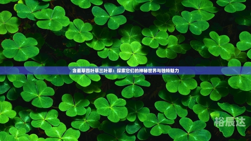 四叶草论坛四叶草论坛，探索网络交流的新天地