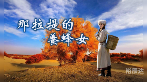 天虎音乐网天虎音乐网，音乐之海，旋律之巅