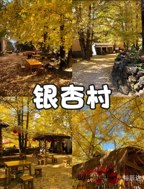 成都到云南旅游团成都至云南旅游团，探索神秘之旅-第1张图片