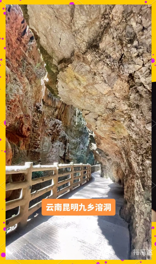 成都到云南旅游团成都至云南旅游团，探索神秘之旅-第3张图片