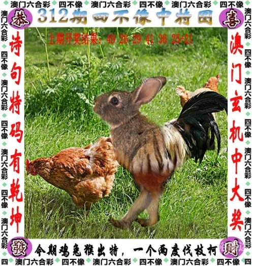 二四六天下彩选好资料大全软件特色二四六天下彩选好资料，如何高效获取优质资源