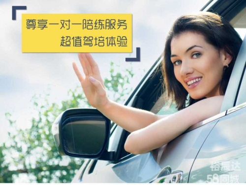 陪练网名陪练网，专业陪练服务的新选择-第1张图片