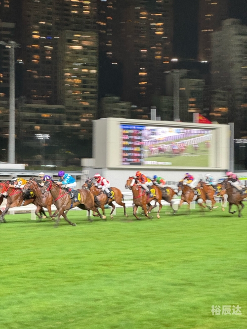 香港赛马会最新消息