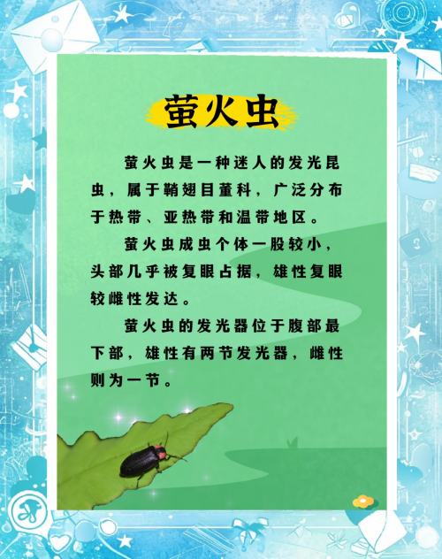 黑蚀龙弱什么属性黑蚀龙，神秘而危险的自然守护者-第1张图片