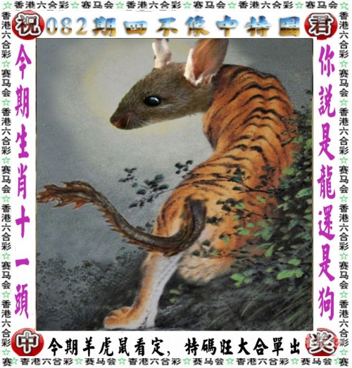管家婆精选二肖二码