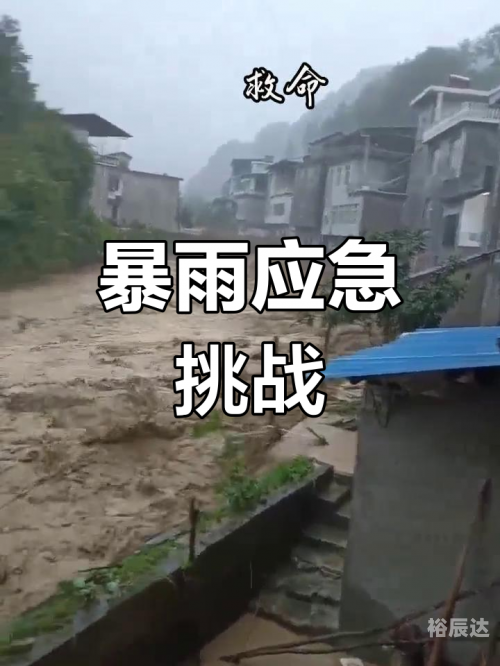 上海特大暴雨，暴雨肆虐下的城市挑战-第2张图片