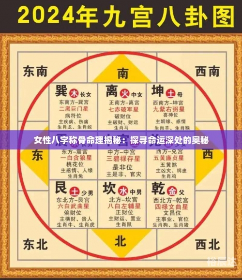 四柱算命软件，揭示命运之谜-第2张图片