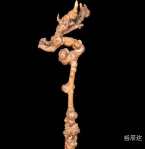 六合皇，古代皇权的巅峰-第2张图片
