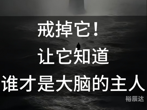 高度戒备高度戒备，应对未知挑战的智慧
