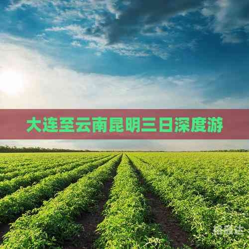 大连到云南旅游报价表大连到云南旅游报价-第2张图片