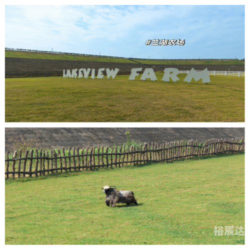 金华旅游团金华旅游团之旅，探索美丽山水间的魅力