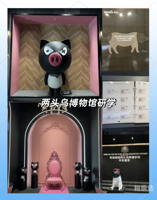金华旅游团金华旅游团之旅，探索美丽山水间的魅力-第2张图片