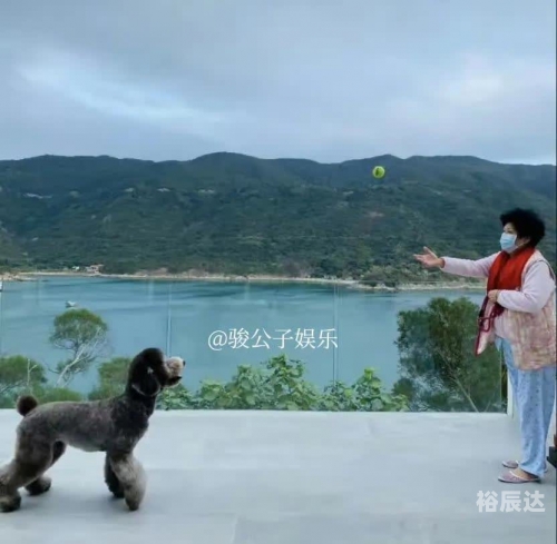 陈伟霆 写完遗嘱后轻松了吗陈伟霆遗嘱后的轻松生活