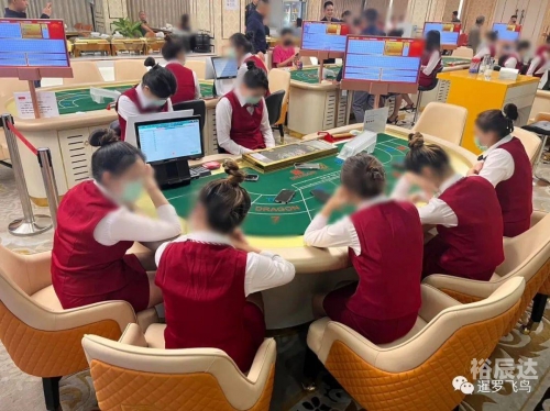 百家乐信誉，风险与保障-第2张图片