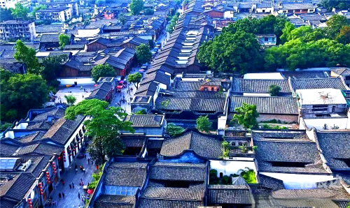 探索118网址之家论坛，网络交流的新天地