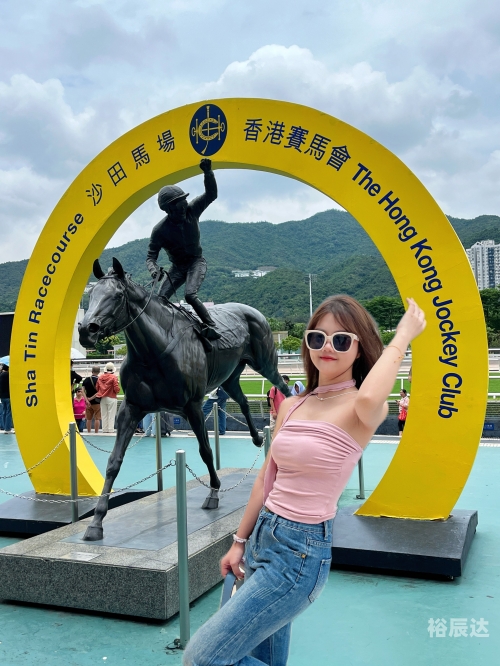 香港免费资料六会宝典大全香港免费资料六会宝典