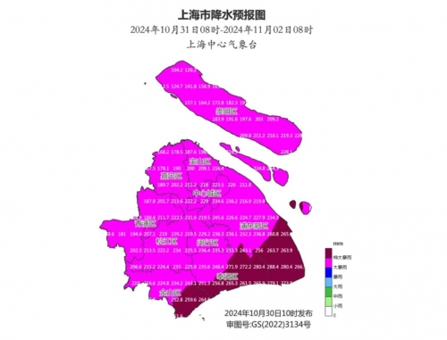 上海特大暴雨-第3张图片