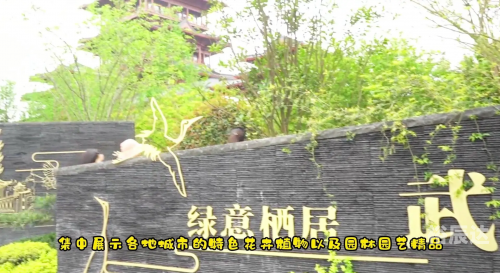 成都有哪些交友活动成都交友活动盛宴，结识新朋友，开启精彩人生-第2张图片