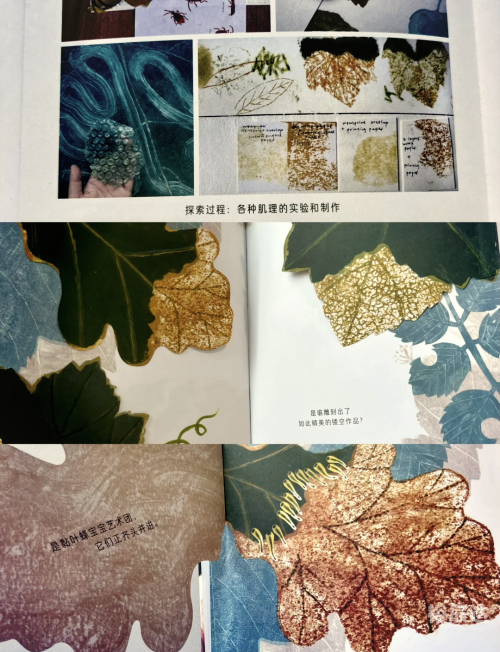 虫虫高手论坛，探索网络社区的奇妙世界