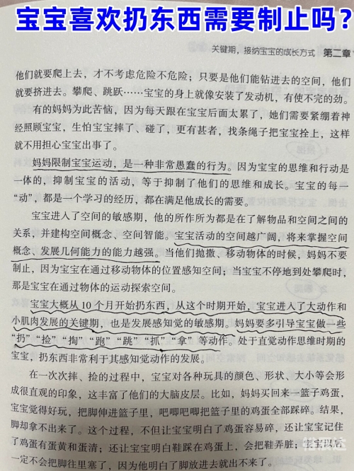呱呱网，探索网络世界的奇妙之旅