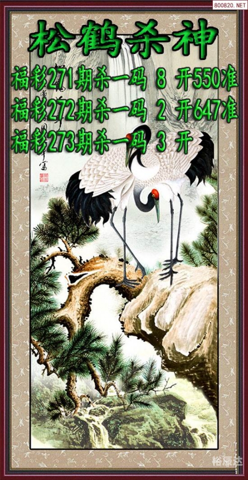 牛彩网图谜总汇九，探秘神秘彩图世界