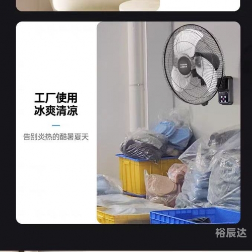 真正老道