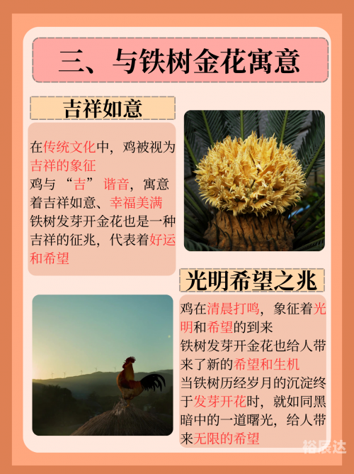 三流九教江湖客打一最佳生肖数字三流九教江湖客打一最佳生肖