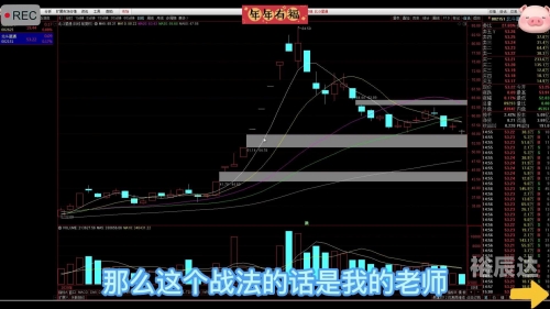 2023一码一肖，预测与成功的秘密