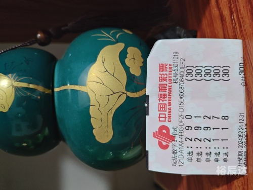 双色球100期双色球100期，彩票奇迹的探索-第1张图片