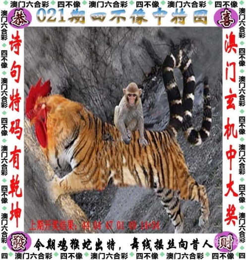 新奥彩2024历史开奖记录新奥彩2024历史开奖记录-第3张图片