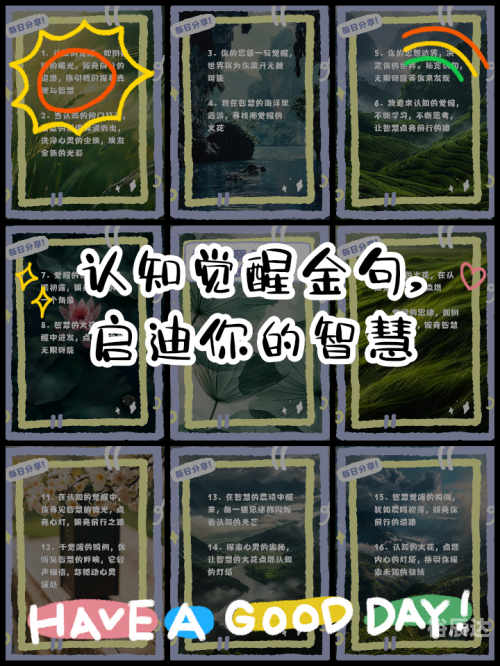 终极道，探寻真理的智慧之路-第2张图片