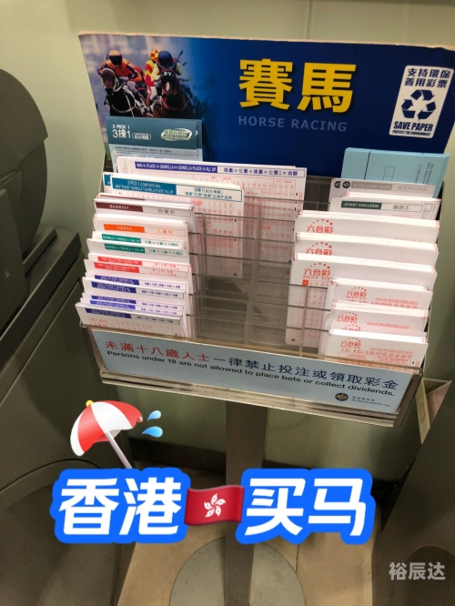 香港特马，繁华都市的魅力与历史-第1张图片