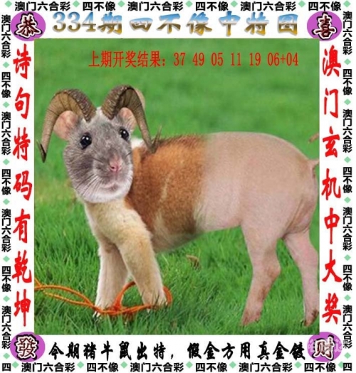 香港本期开奖结果今晚揭晓