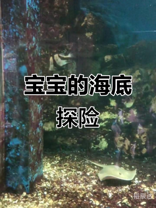 WWW.7K7K，探索网络世界的奇妙之旅