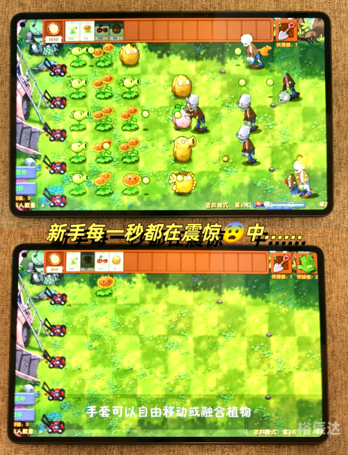 植物大战僵尸融合版花园保卫战花园保卫战-第2张图片