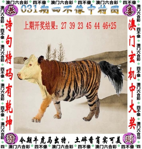 今晚特马图，一场独特的探索之旅