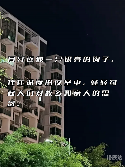 九龙内幕九龙内幕，揭开隐藏的神秘面纱-第2张图片