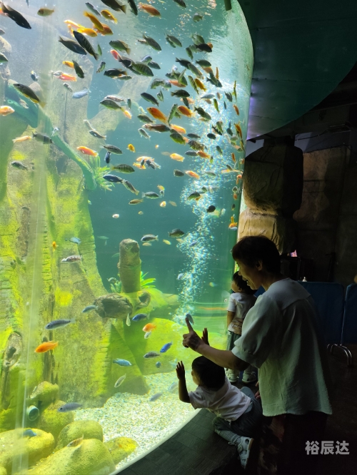 海狮报，海洋之声的报道与观察-第2张图片