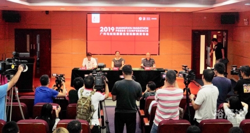 2019年马会正版2019马会正版，正版马匹展的回顾与展望