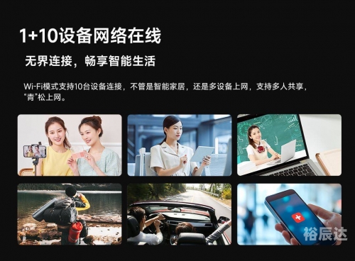 金鹰网站，引领网络新潮流