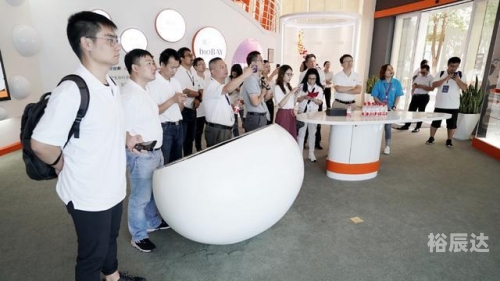 网络单双是什么意思?原创网络单双，探索数字时代的创新之路