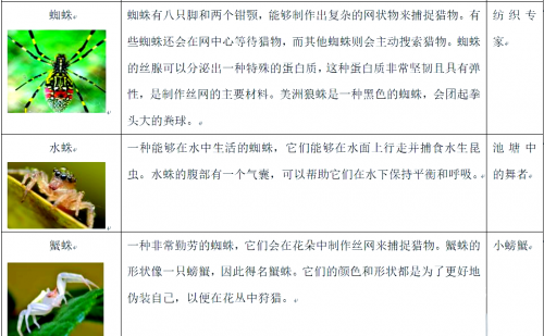 现世 世界现世入口，探索与启示